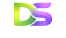 logo web agency ds